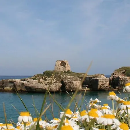 Apartment Alloggio Vecchia - Salento *